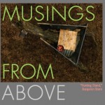 Domestic Musings From Above
